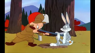 Looney Tunes - Rabbit Season Or Duck Season (English)