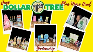 ⭐️NEW⭐️Dollar Tree Plus Haul ~ All NEW at Dollar Tree ~ Jackpot Dollar Tree Plus More Haul ~ DT Haul