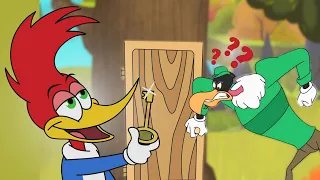 Woody Woodpecker Complete Season 1 Compilation! | Cartoons For Kids | WildBrain Max