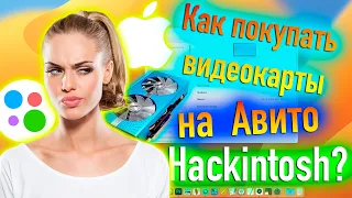 КАК ПОКУПАТЬ ВИДЕОКАРТЫ НА АВИТО ДЛЯ HACKINTOSH? - ALEXEY BORONENKOV | 4K