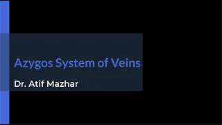 Azygos System of Veins