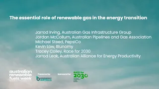 The essential role of renewable gas in the energy transition