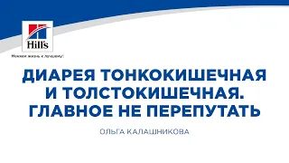 Вебинар на тему: "Диарея тонкокишечная и толстокишечная. Главное не перепутать".