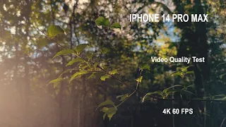 IPHONE 14 Pro Max Video Quality Test | 4k 60 FPS