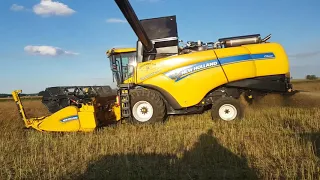 ŻNIWA 2020 #NEWHOLLAND GR ZABORSCY