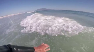 Surfing in shark infested waters in Cape town