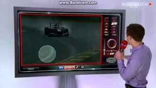 F1 2013 - Black/White lines causing skids in wet? (Felipe Massa Spin)