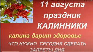 11 августа народный праздник Калинник. Главные запреты дня. Народные приметы и традиции. Именинники