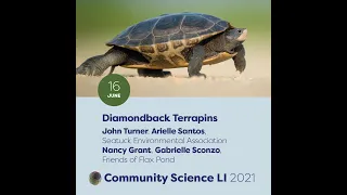 Diamondback Terrapin Monitoring Webinar   SD 480p