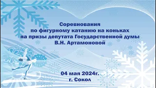 Соревнования по фигурному катанию на коньках на призы ДГД   В. Н. Артамоновой