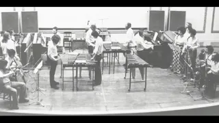 Steve Reich - Music for 18 Musicians - Live in Paris 1976