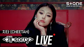 [Stone LIVE] 치타 - 개 Sorry ｜ CHEETAH, So Sorry, 라이브