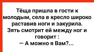 Теща Перед Зятем Расставила Ноги! Сборник Свежих Анекдотов! Юмор!