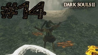 Dark Souls 2 Scholar Of The First Sin PC: Co-op Прохождение - #14 Башня Солнца и Туманный Лес