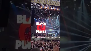 Colors - Black Pumas (Lollapalooza Brasil 2022)