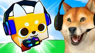 EM BUSCA DO DOGE LENDÁRIO! | Pet Simulator X | Roblox