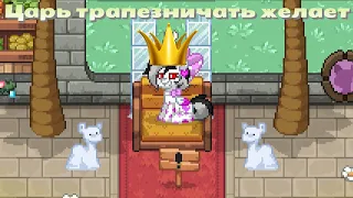 ШИКАРНЫЙ ПАТИ ОСТРОВ ОТ ПОДПИСЧИКА В PONY TOWN