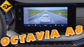 Обзор Мультимедиа Octavia A8! (Шкода Октавия 2020)