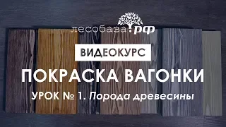 Покраска вагонки. Урок № 1. Порода древесины