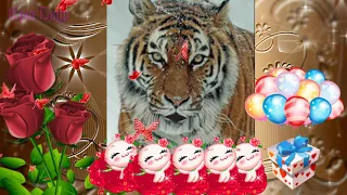 #shorts Говорящая открытка поздравление тигра   с Днем Рождения