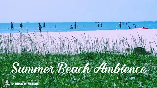 Summer beach ambience with beautiful piano music for instant Stress relief