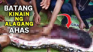 BATA KINAIN NG ALAGANG AHAS NG KANYANG MAGULANG | BATA KINAIN NG SAWA