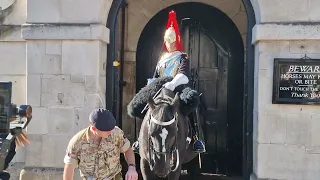 No one wanted to get that close to this horse #horseguardsparade