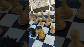 The Arabian Knight handmade chess pieces | Chessbazaar®