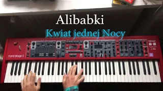 Kwiat jednej nocy - Alibabki [Piano cover]