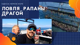 РАПАНА: Ловля рапаны драгой. Драгирование рапана в Черном море.