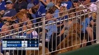 Royals fans bring their dogs to the ballpark
