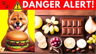 10 Dangerous Foods Your Dog Must Avoid | toxic foods for Dogs #doghealth  #dogcare #thedodo