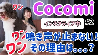 【cocomi】とってもにぎやかな木村家です