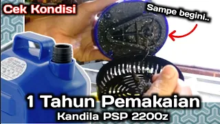 Review Pompa KANDILA PSP 2200 Z Setelah 1 Tahun