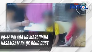 P6-M halaga ng marijuana nasamsam sa QC drug bust | TV Patrol