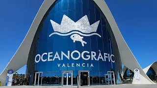Oceanografic Valencia Full Tour 4K
