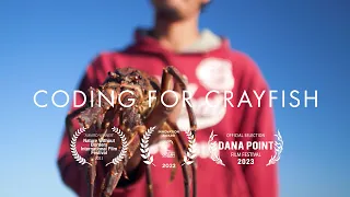 Coding for Crayfish – A documentary by ABALOBI