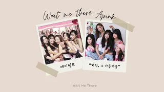 [Vietsub] APINK "WAIT ME THERE" | 에이핑크 "기억, 그 아름다움" | SPECIAL FANSONG