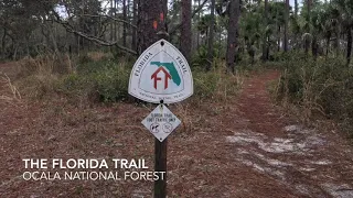 The Florida Trail - Ocala National Forest - Clearwater Lake to Hopkins Prairie