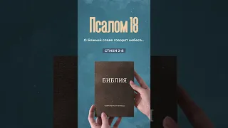 Псалом 18, стихи 2-8 | Моя Библия #Shorts