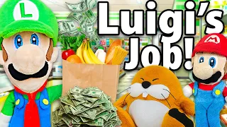 Crazy Mario Bros: Luigi's Job!