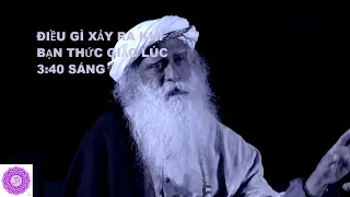 (Thuyết Minh) ĐIỀU KÌ DIỆU GÌ XẢY RA VÀO 3:40 SÁNG - SADHGURU | Thời Điểm Brahma Muhurtam