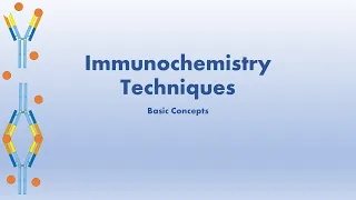 Immunochemistry: Basic Concepts
