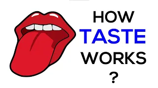 How Taste Works?