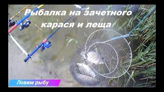 Рыбалка на зачетного карася подлещика и леща Сергеевка 2020! Ловля на фидер! Fishing for big carp!