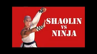 BARBADOS AND DOMINICA  Wu Tang Collection Shaolin vs Lama WIDESCREEN Ver