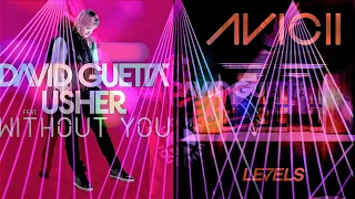 David Guetta & Usher vs. Avicii - Without You vs. Levels (David Guetta Mashup)