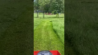 Satisfying Back Yard Cut