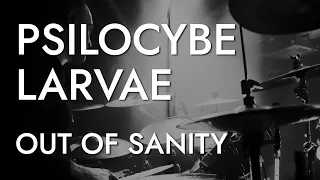 PSILOCYBE LARVAE - Out Of Sanity (Live at Serdtse Club). 19.04.2024