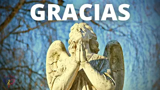 🙏🏼 GRACIAS!!! GRATITUD A LA VIDA, a los Ángeles, Arcángeles. a Dios y al Universo 😇✨